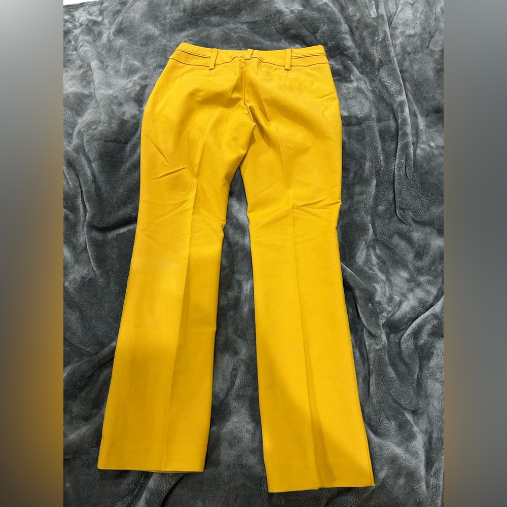 Mustard yellows slacks NY&CO